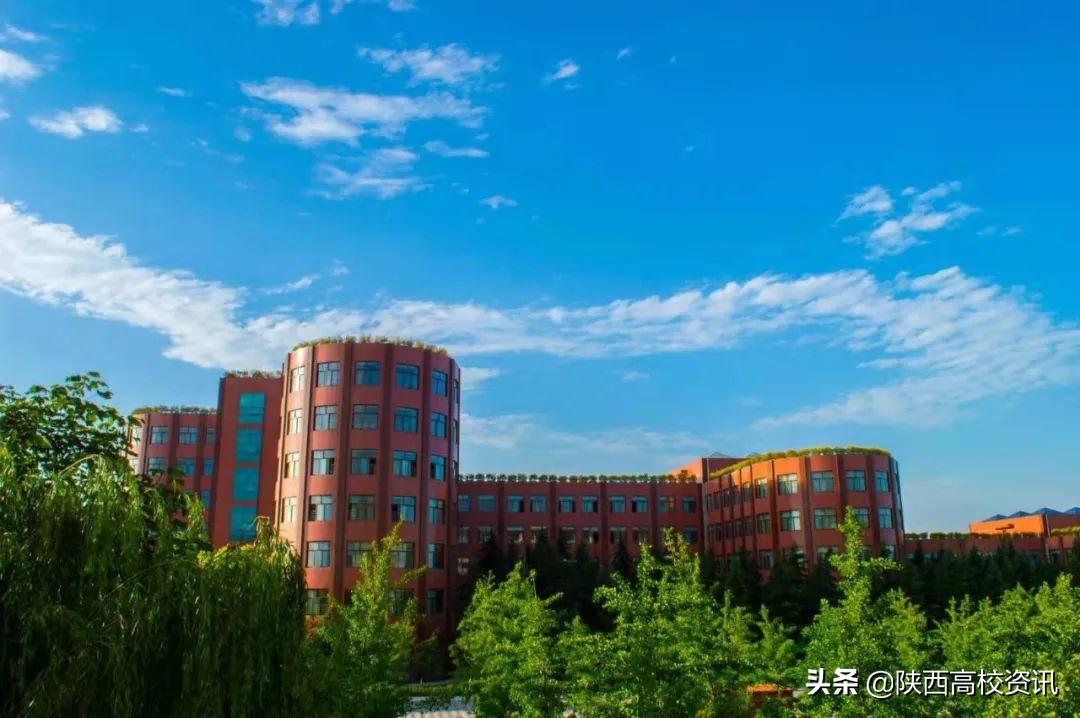 我承认我酸了,我承认我酸了合集