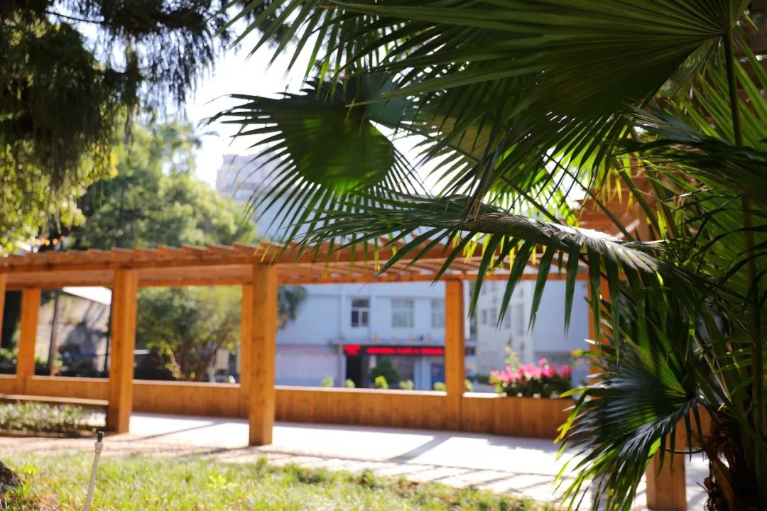 背靠师大、底蕴深厚，时代中学值得了解！