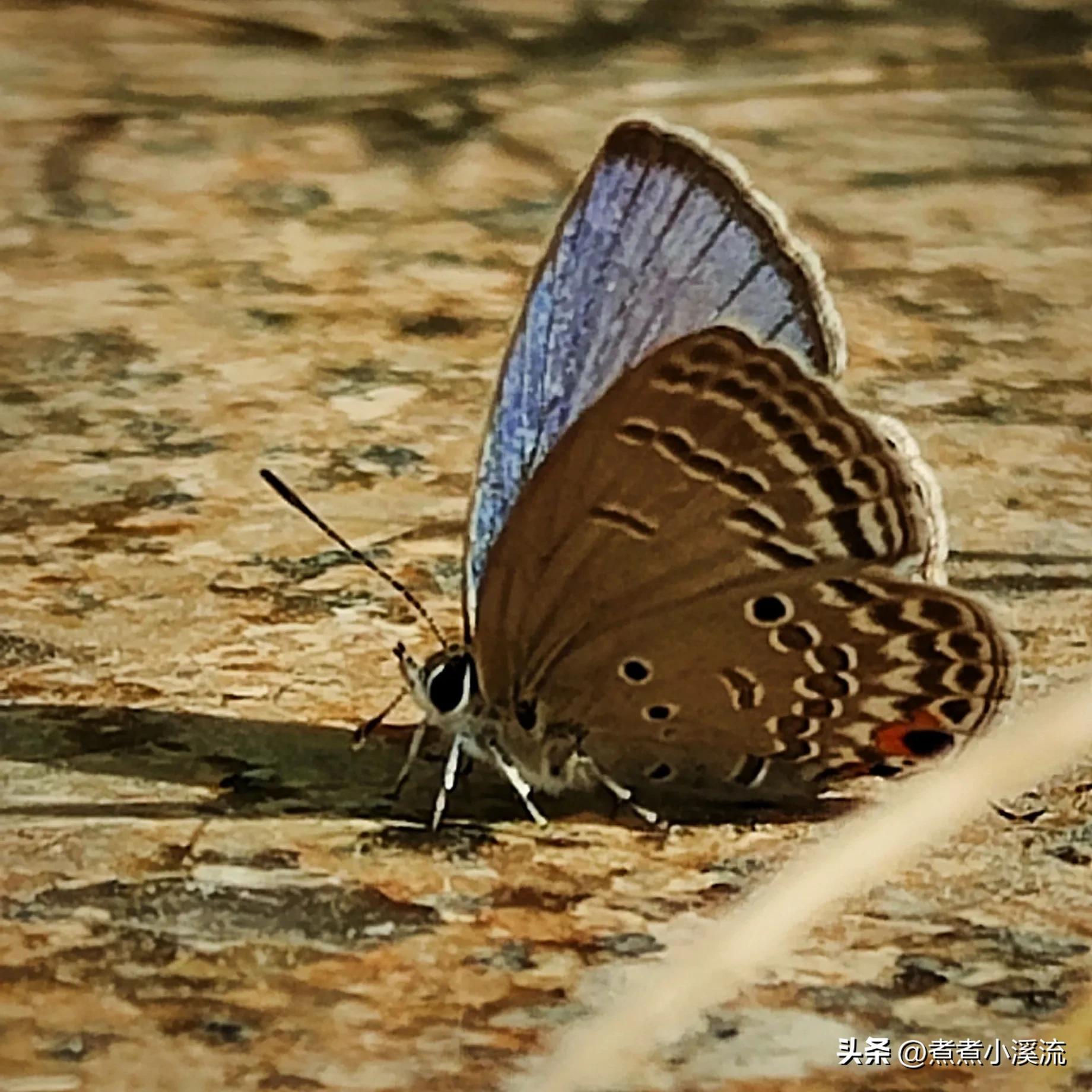 反流性食管炎自我调理,我的反流性食管炎治愈经历