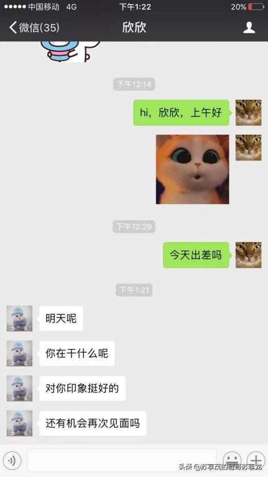 逼死丈夫的翟欣欣判刑了吗,翟欣欣案一审宣判视频