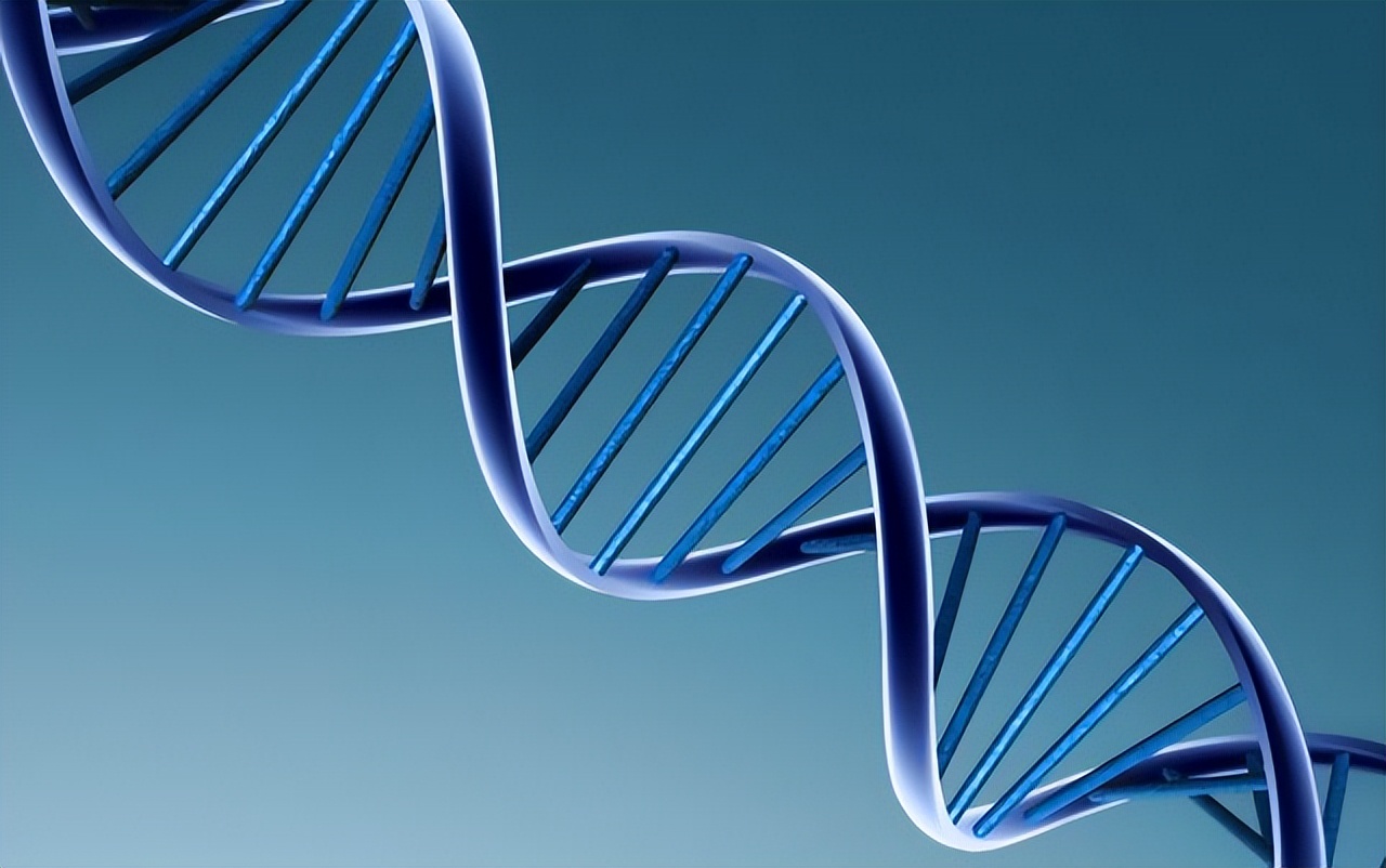 基础医学和生物科学哪个更有前途,生命科学院基础医学前景