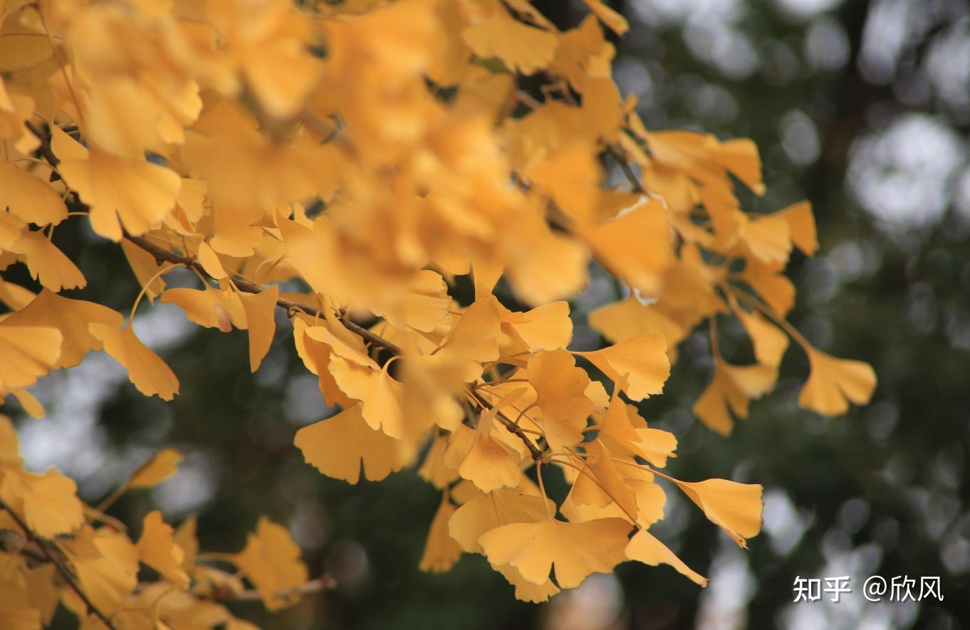 湖北十堰旅游攻略三日游,湖北到贵州三日游景点攻略图
