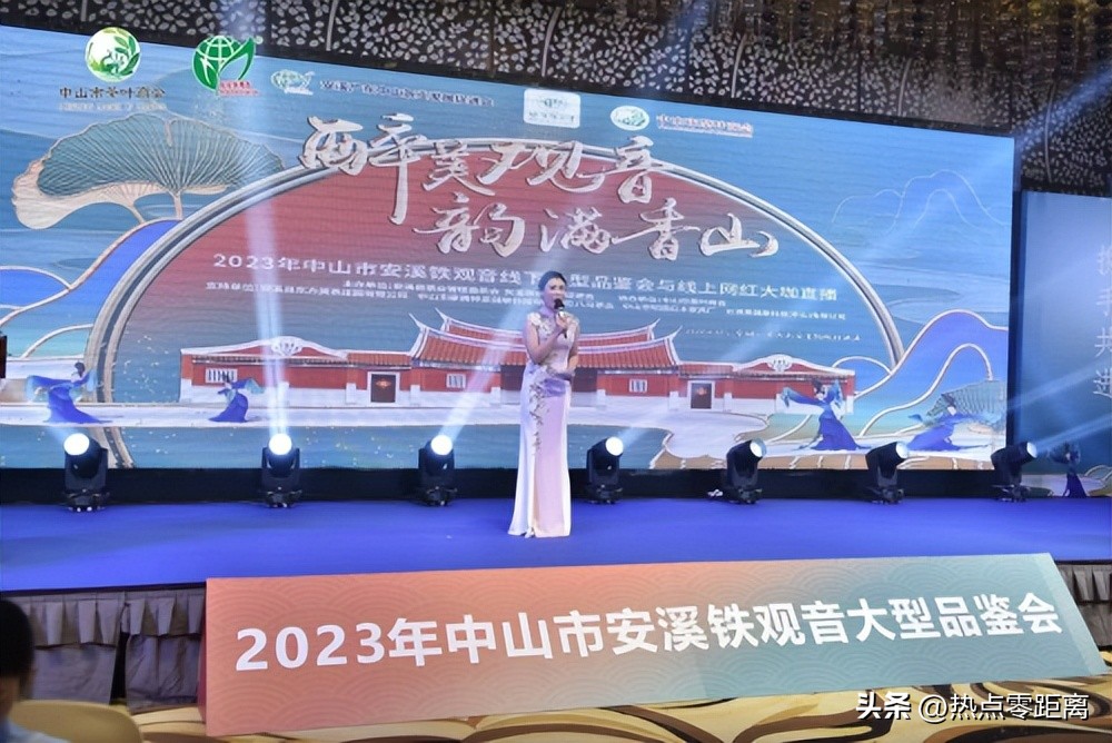 安溪铁观音斗茶大会,铁观音品茶大会