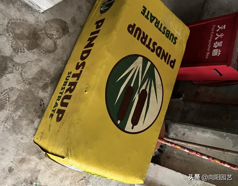 正品泥炭土是真的吗,网上买的土5斤有多少