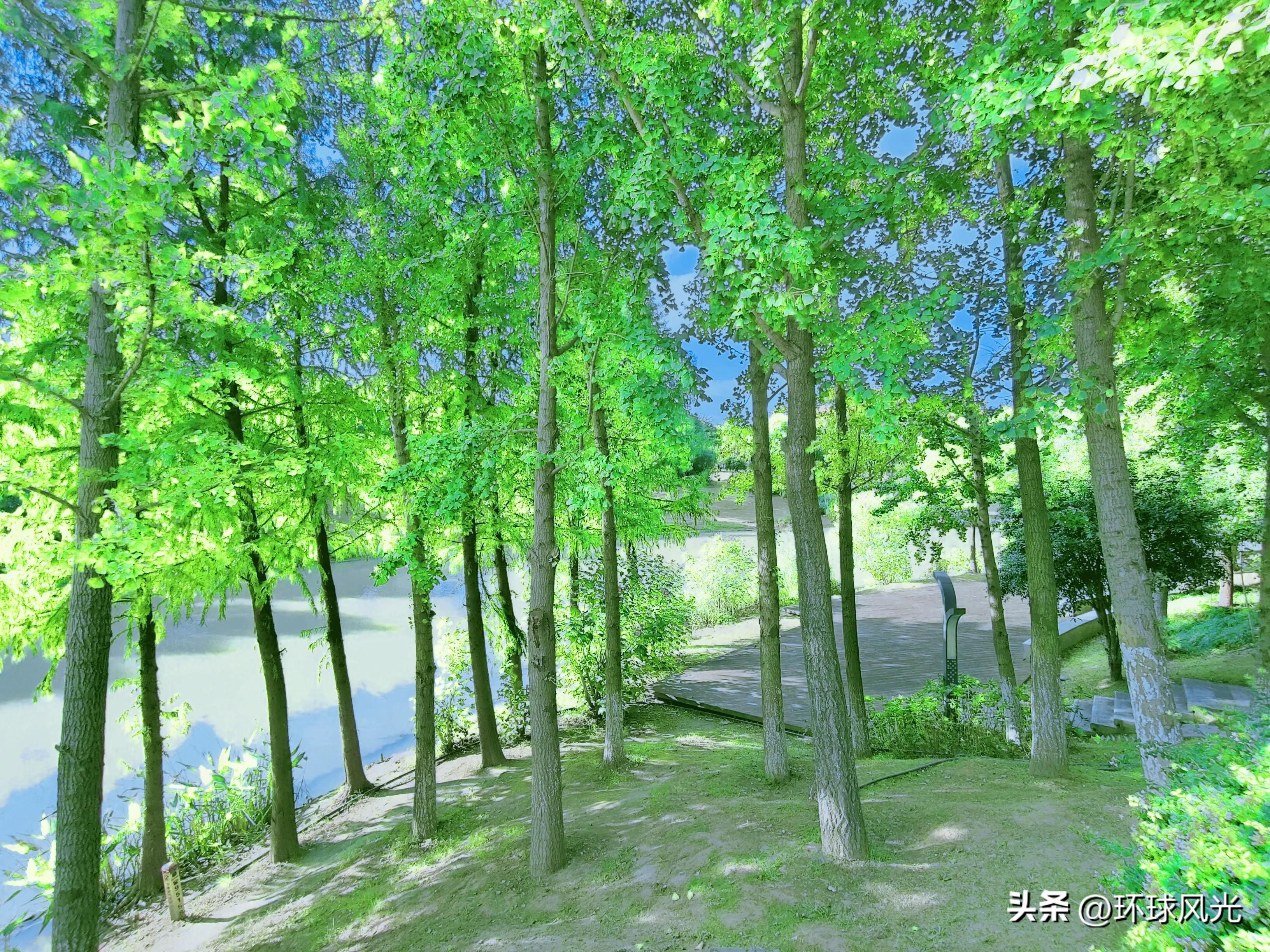 水裹汤温泉萧山钱江世纪公园店,钱江世纪公园属于哪个区