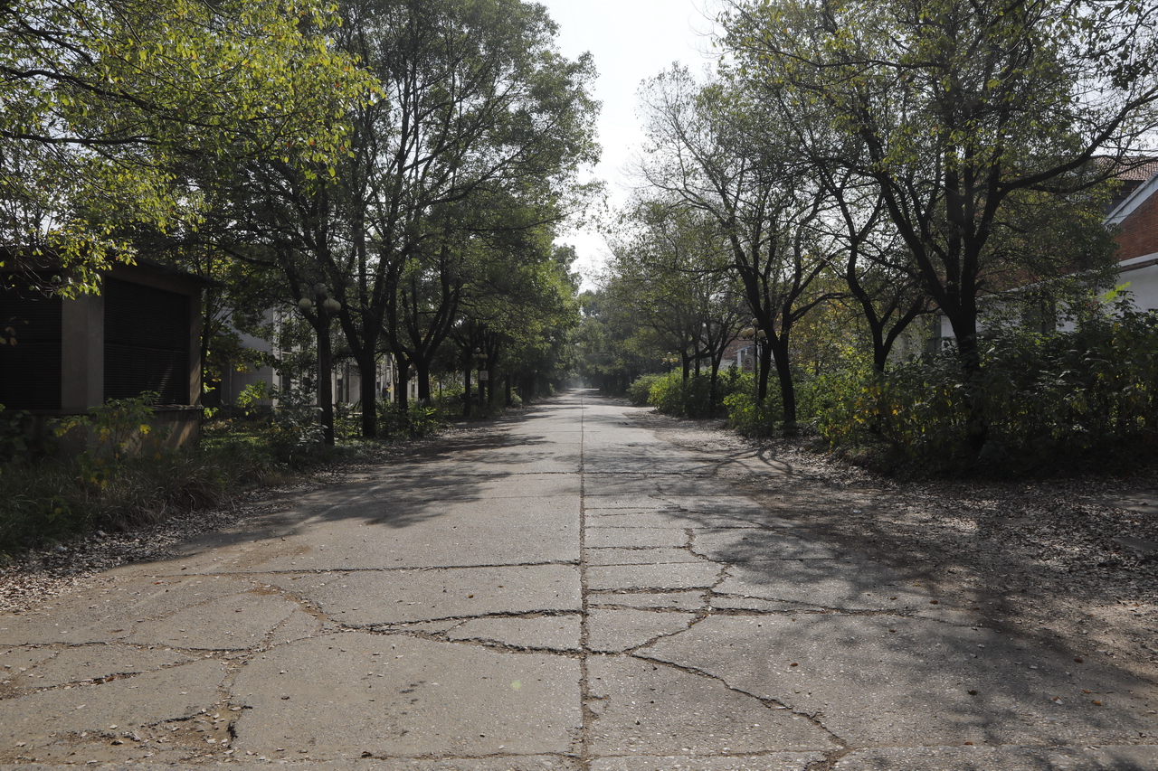 襄阳三线厂名单,襄阳汽车轴承股份有限公司网站