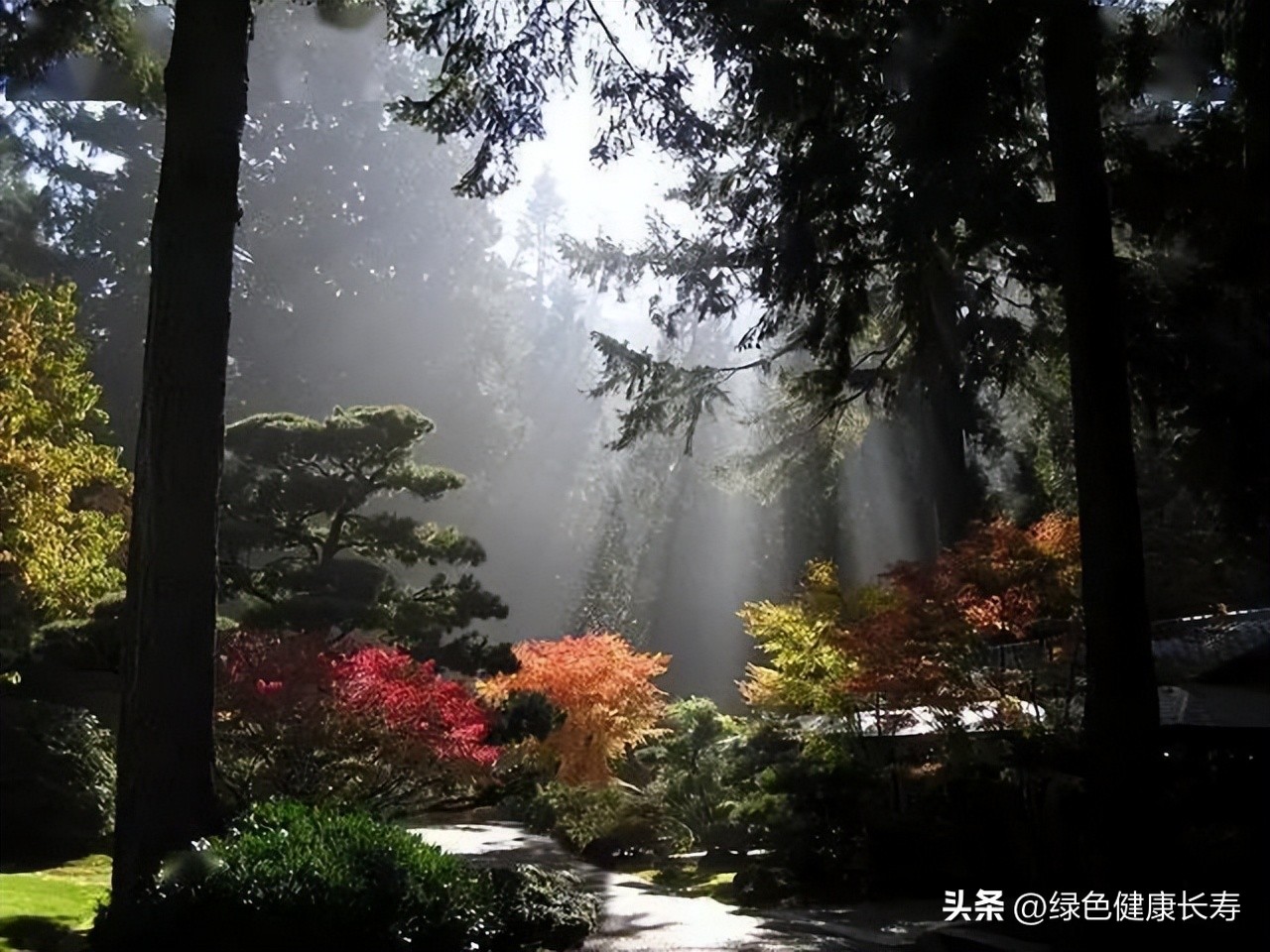 波特兰日本花园游玩,世界花园打卡