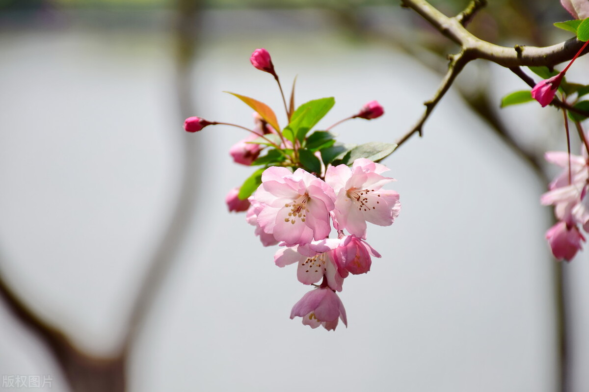 知道未来的日子过得会很艰难,知道未来的日子过的会很艰难