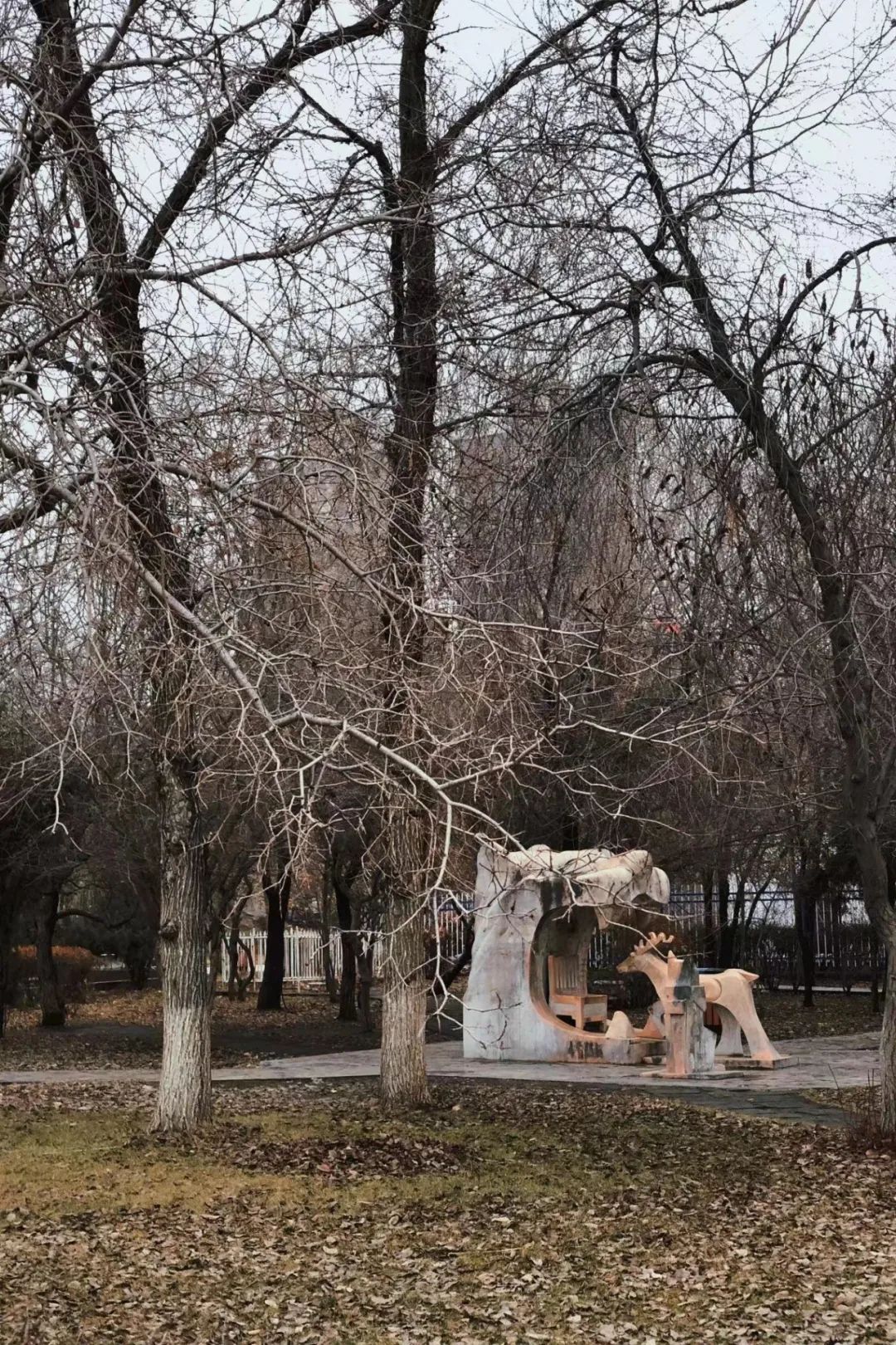 乌鲁木齐城市交通如何疏堵,压马路乌鲁木齐