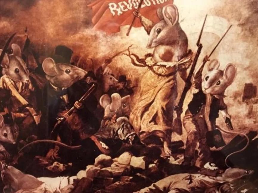 8只白鼠繁衍实验,美国8只老鼠的实验