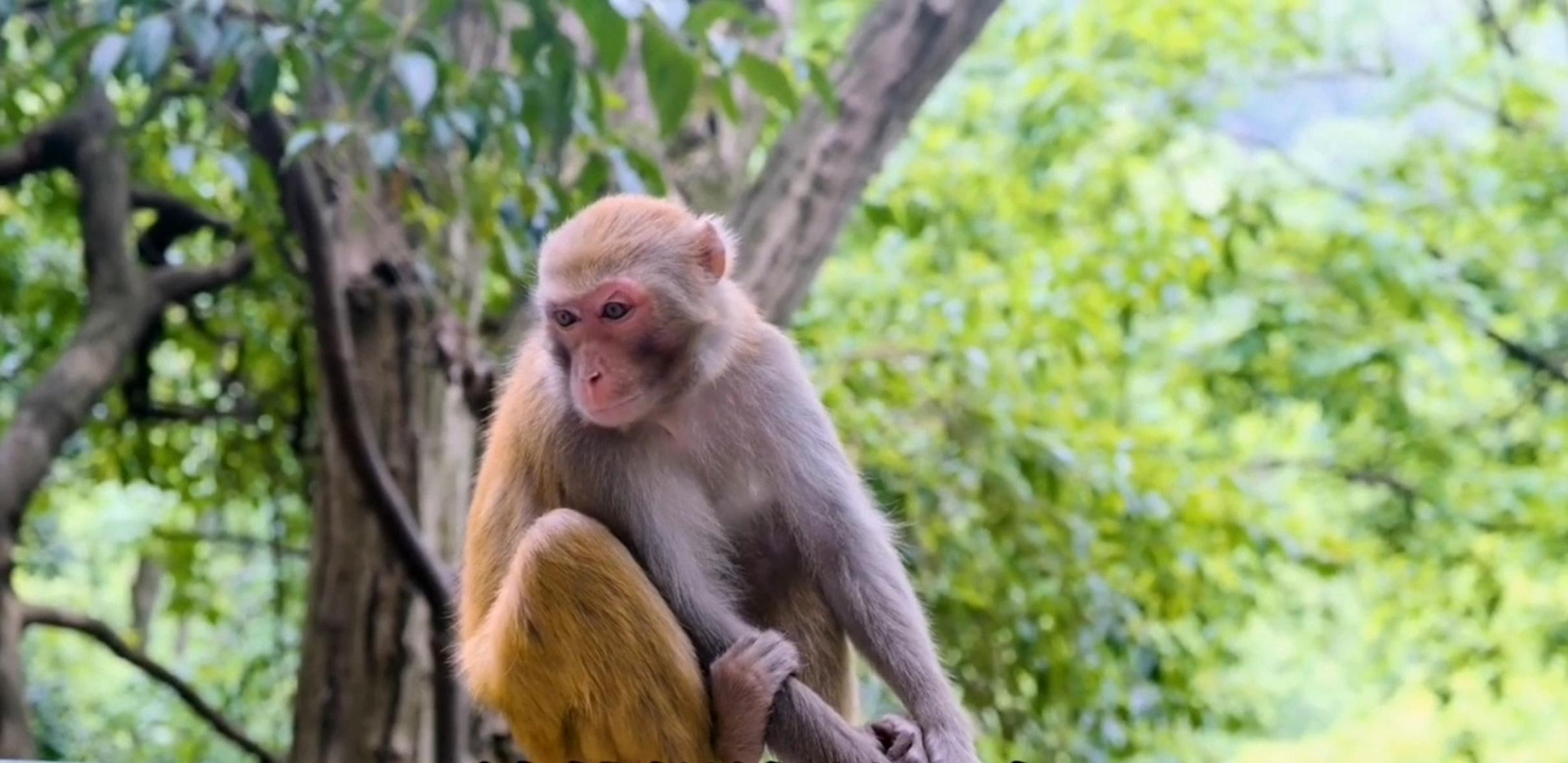 每天饭量多少竟能决定你能活多少岁？终于被专家破解！答案太意外