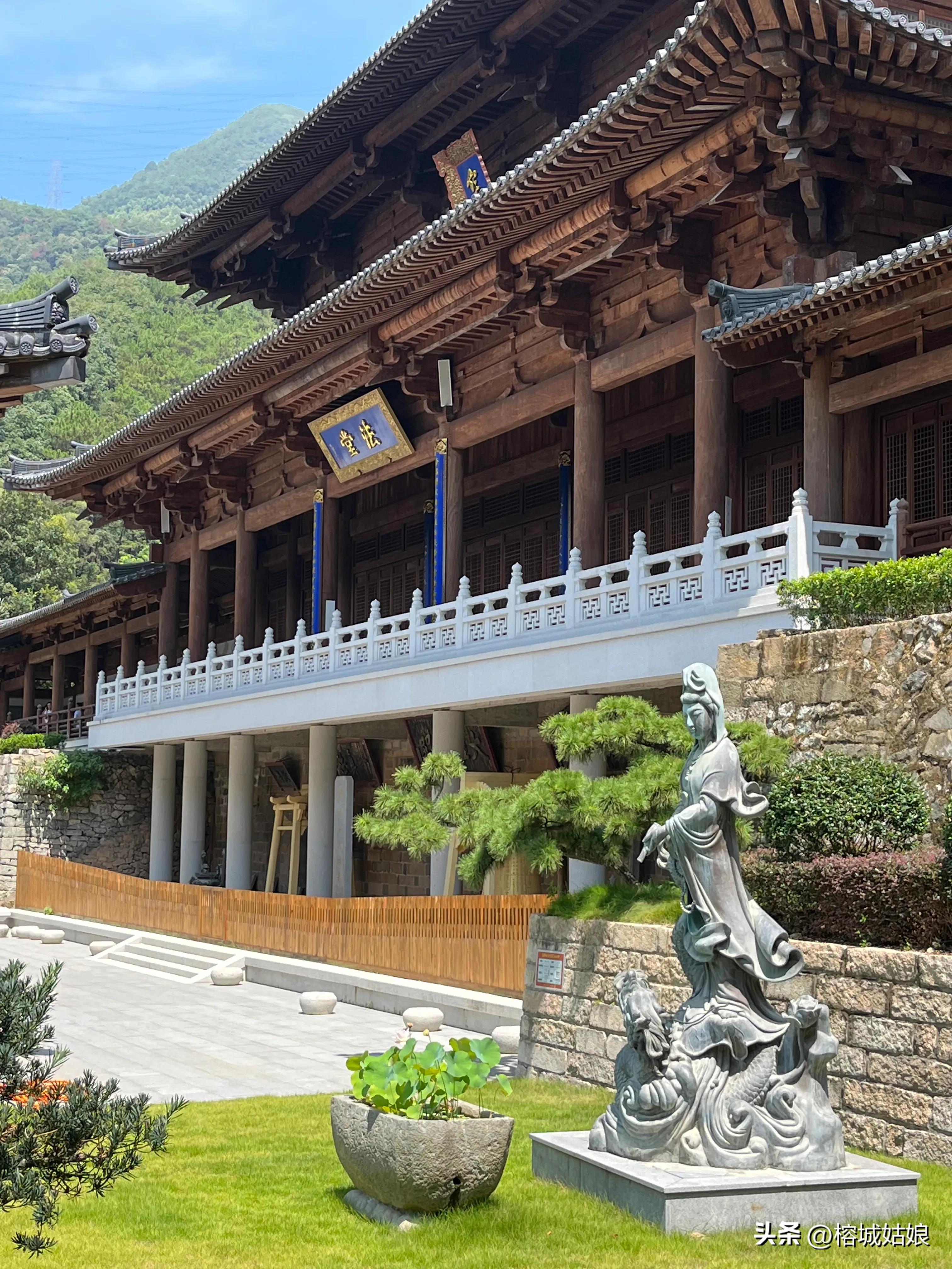 茶港历程,东方茶港历史