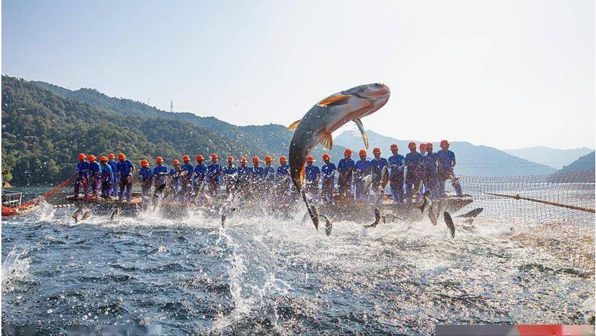 仅3.9平方千米的*鱼岛钓**，到底有多重要，它对我国有什么重要意义