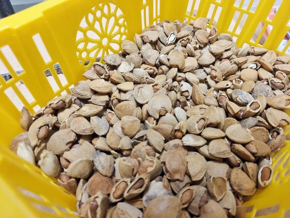 乡村网事大结局,乡村网事