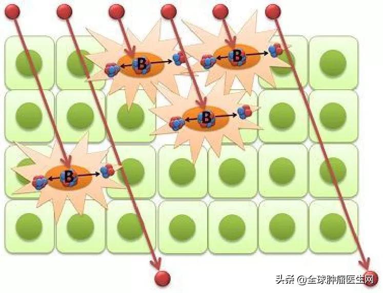 日本硼中子俘获疗法治愈癌症晚期,日本硼中子治疗癌症最新进展