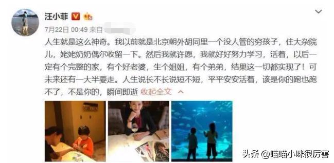 汪小菲迷惑行为视频,当年被霸道总裁迷得神魂颠倒