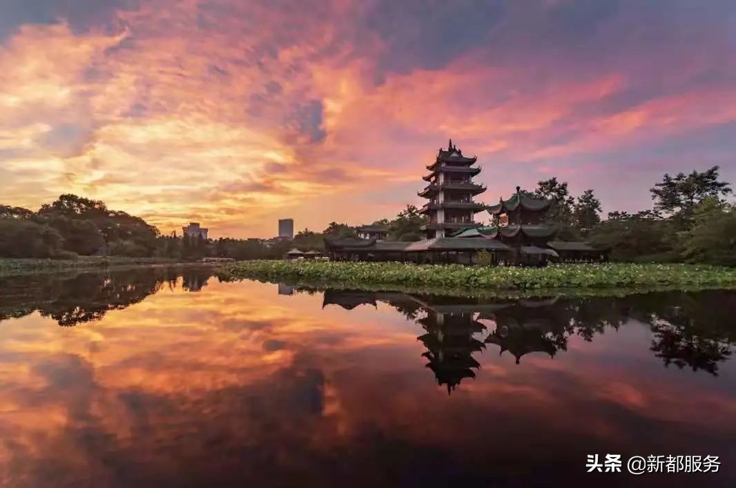 新都是镇还是区啊,什么是幸福的文案