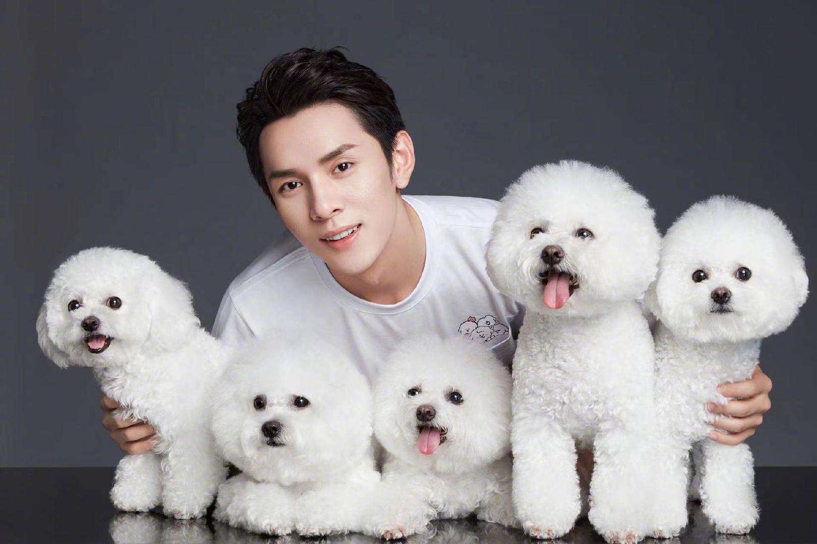 李佳琦风波后直播间现状,李佳琦风波后直播现状堪忧