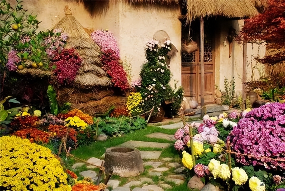 室内景观设计，让心静下来，让生活慢下来