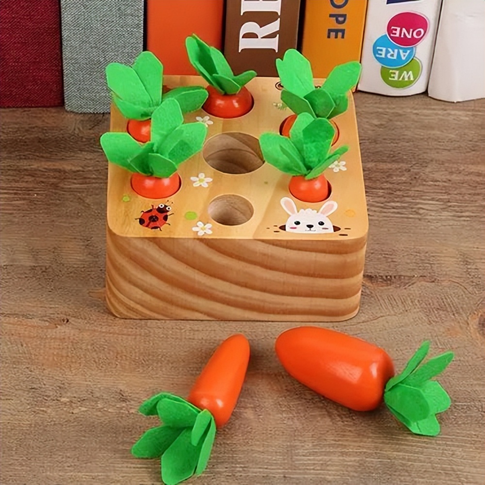 自闭症儿童行为干预好书推荐,孤独症儿童康复训练玩具