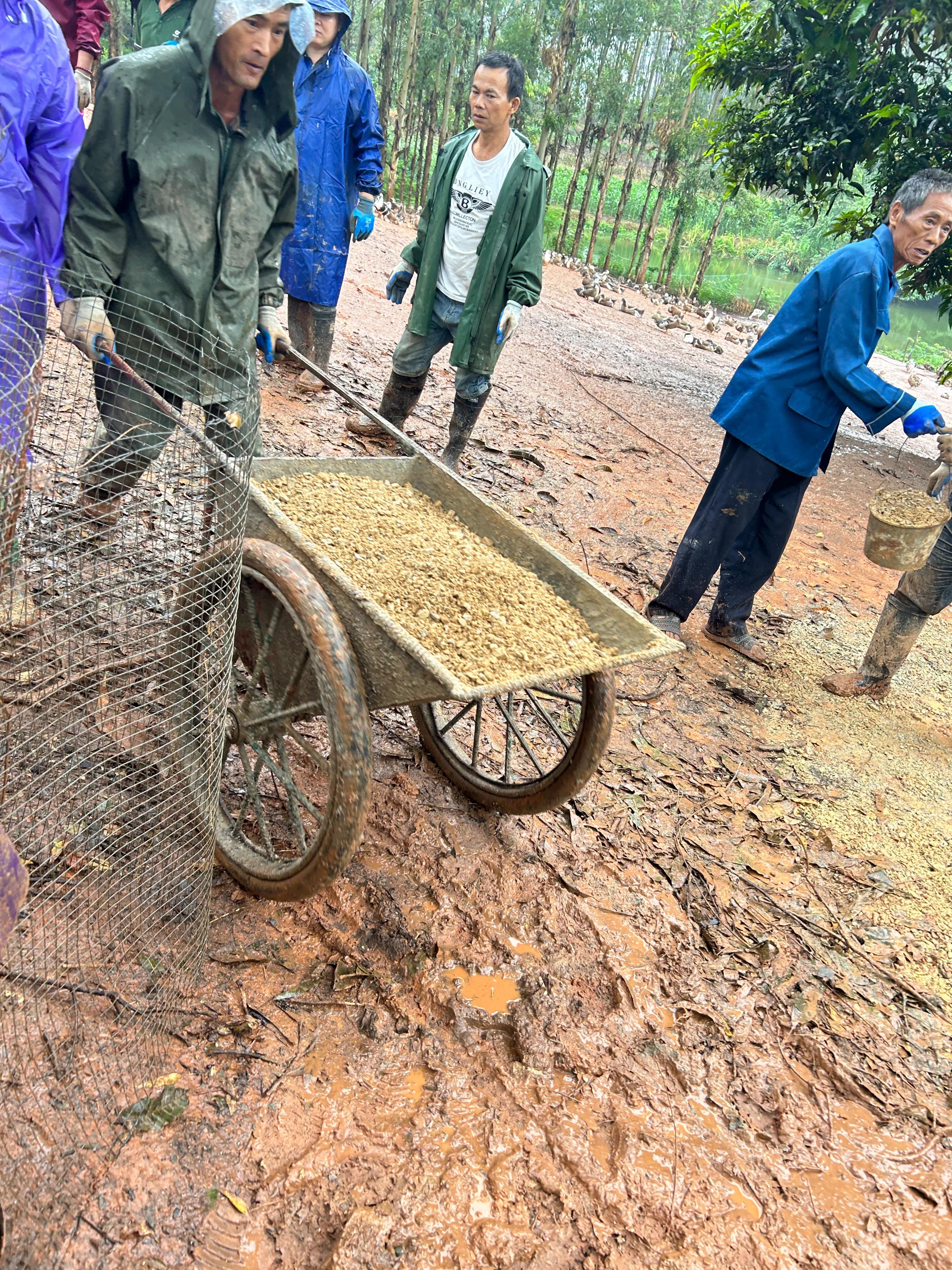 重修应苗公祖墓实录（下）——披荆斩棘凭实干，齐心协力功告成