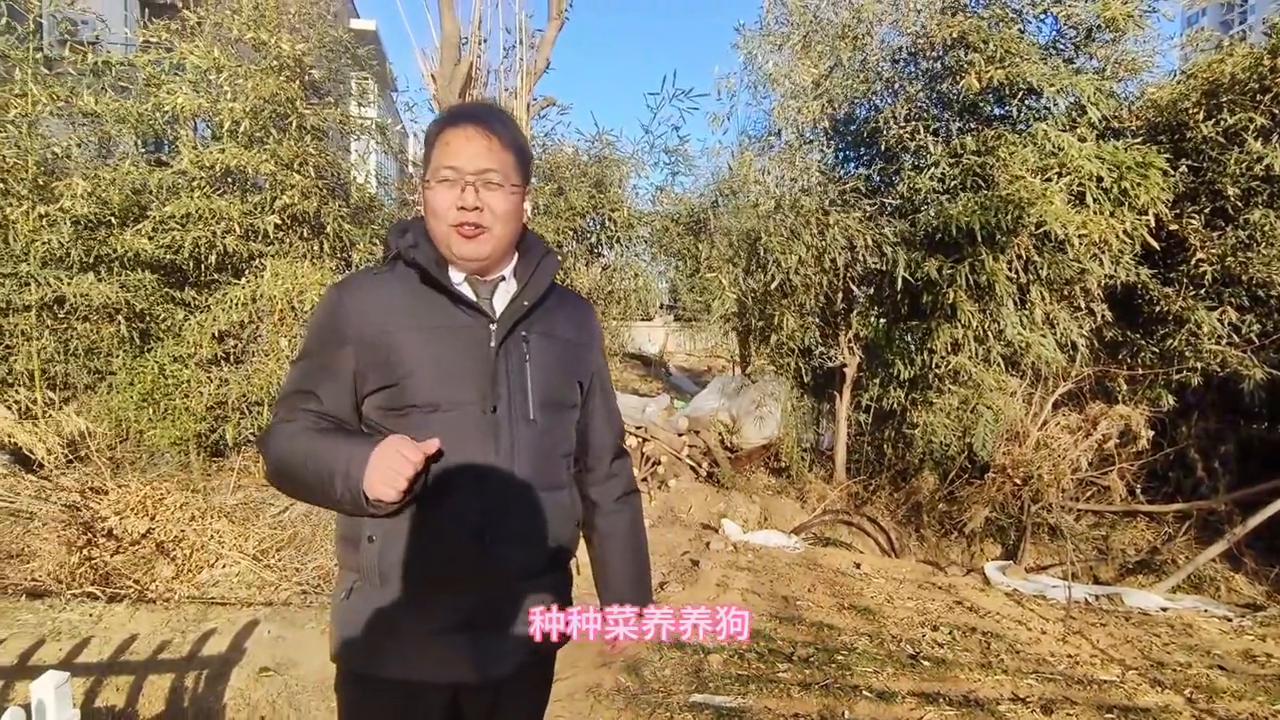 兄弟们喜欢对门吗,兄弟们都喜欢什么样的视频