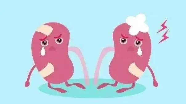 中医治疗肾病的基本方法,中医治疗肾病的几大妙招