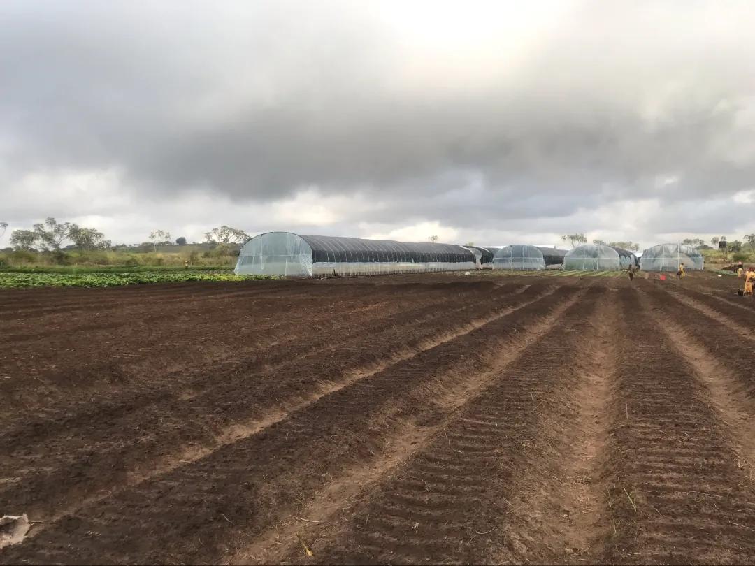 老汤创业,老汤生活记录