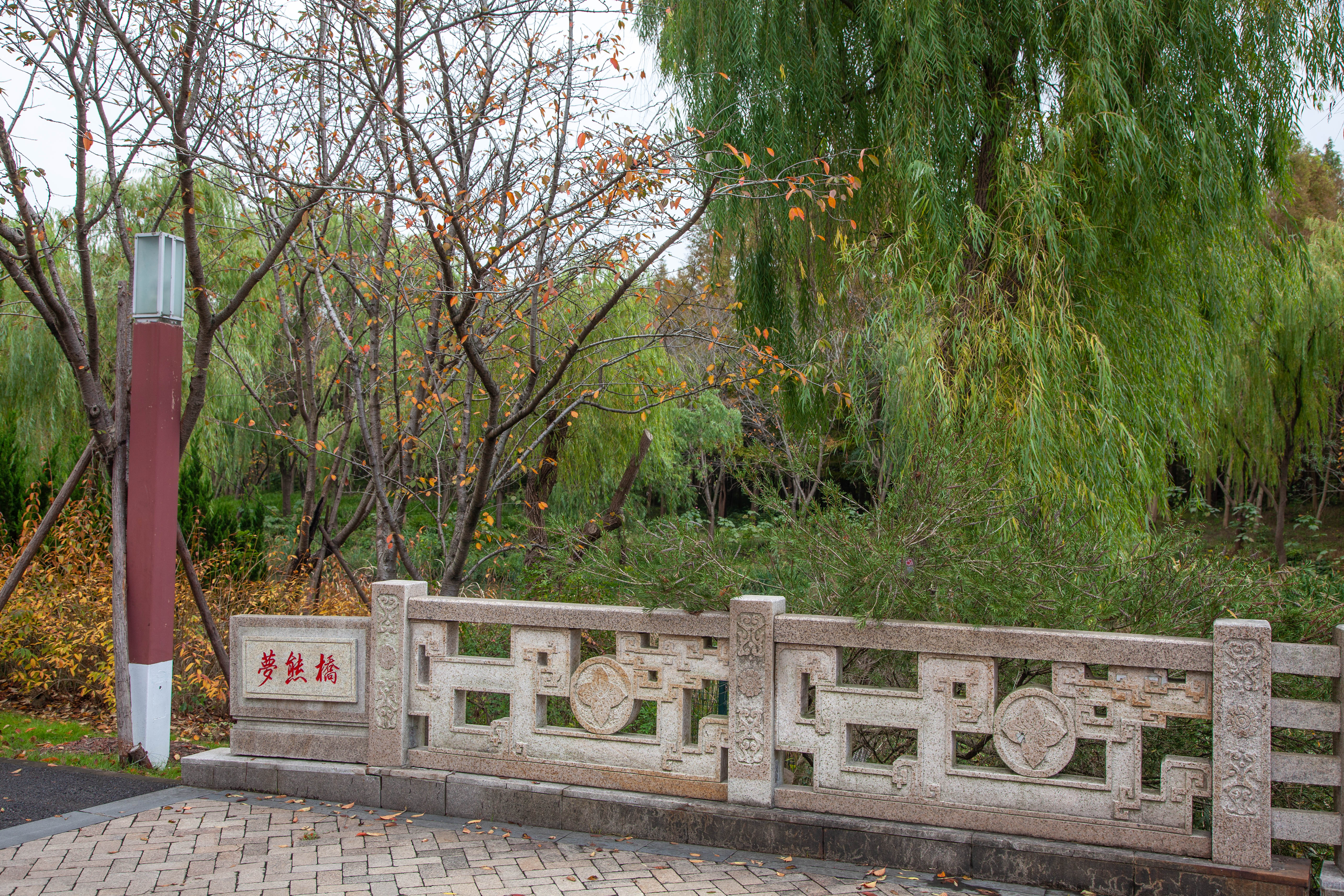 宝山顾村历史,上海宝山顾村老街