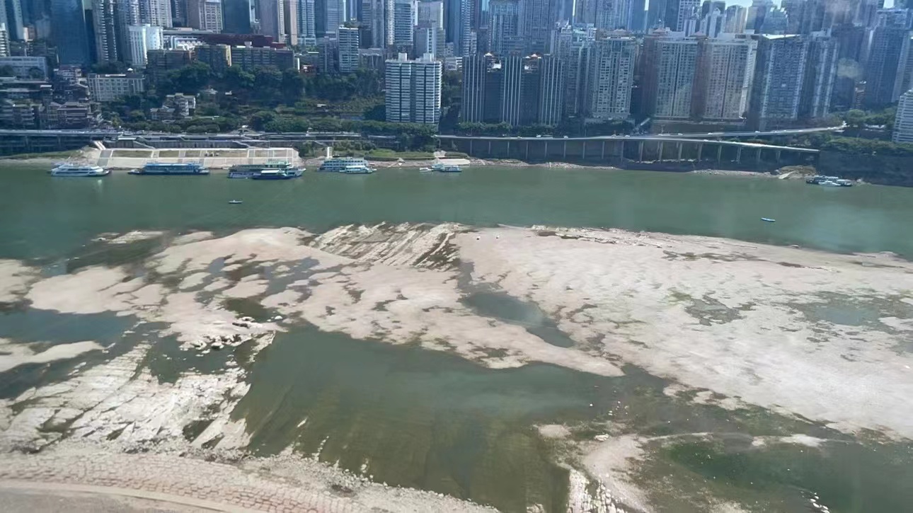 四川40度高温不敢出门,四川高温天气不敢出门