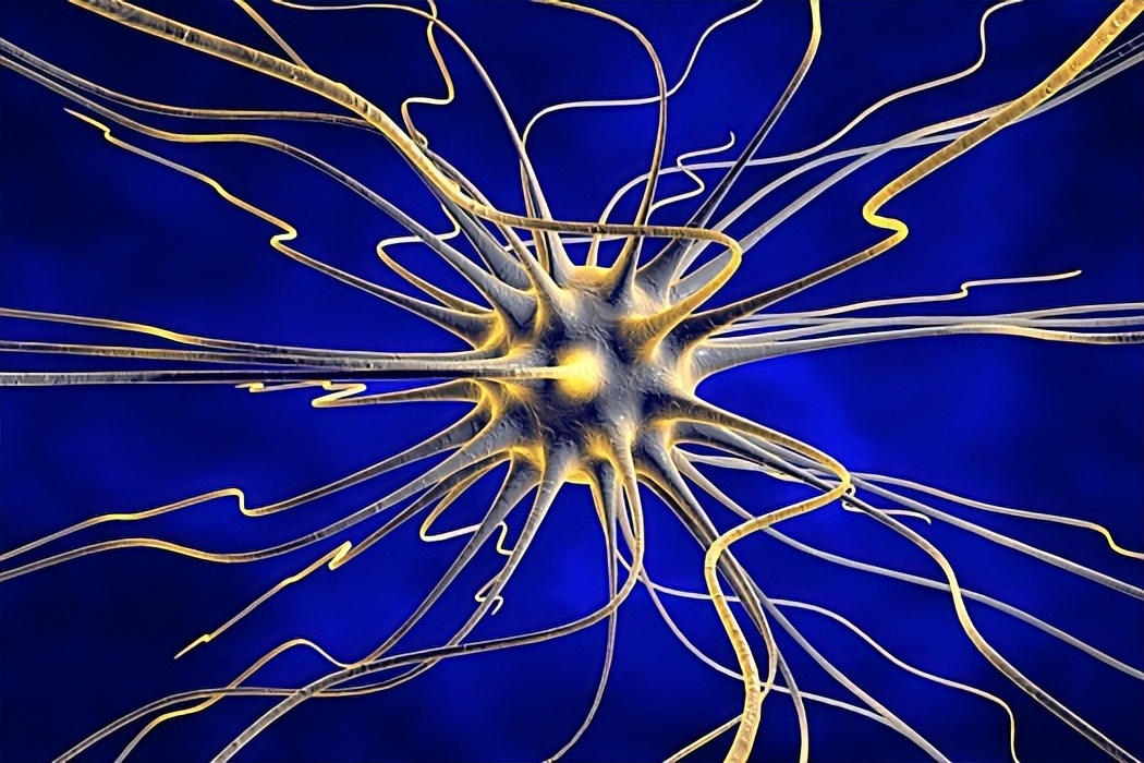 老年人轻微脑萎缩怎么预防,老年人脑萎缩吃什么药有效