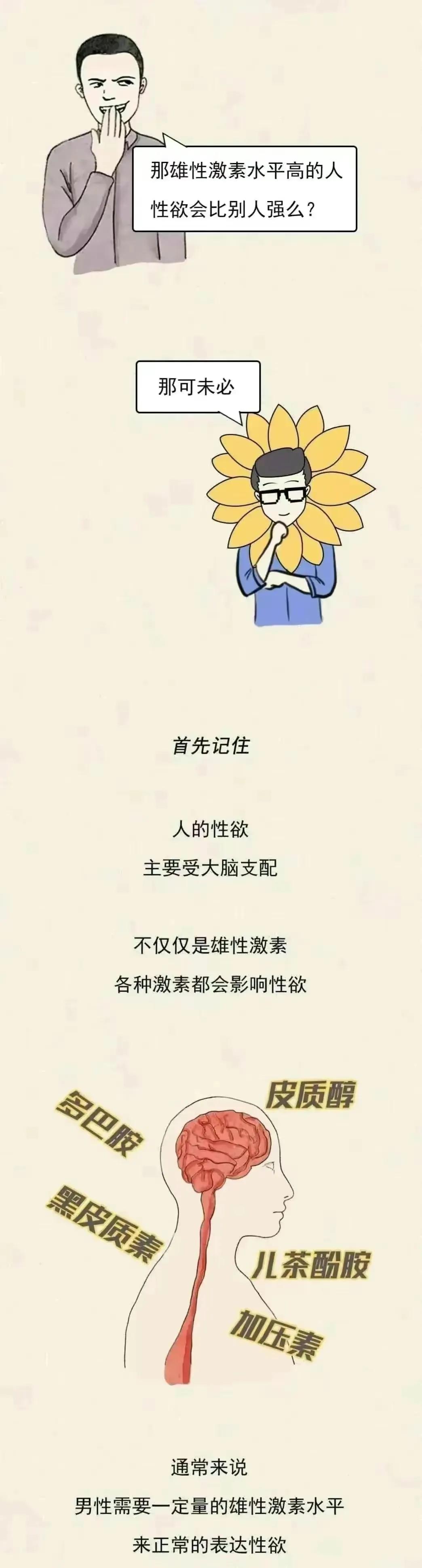 男人的毛发旺盛代表什么,体毛多的男人是雄激素旺盛吗