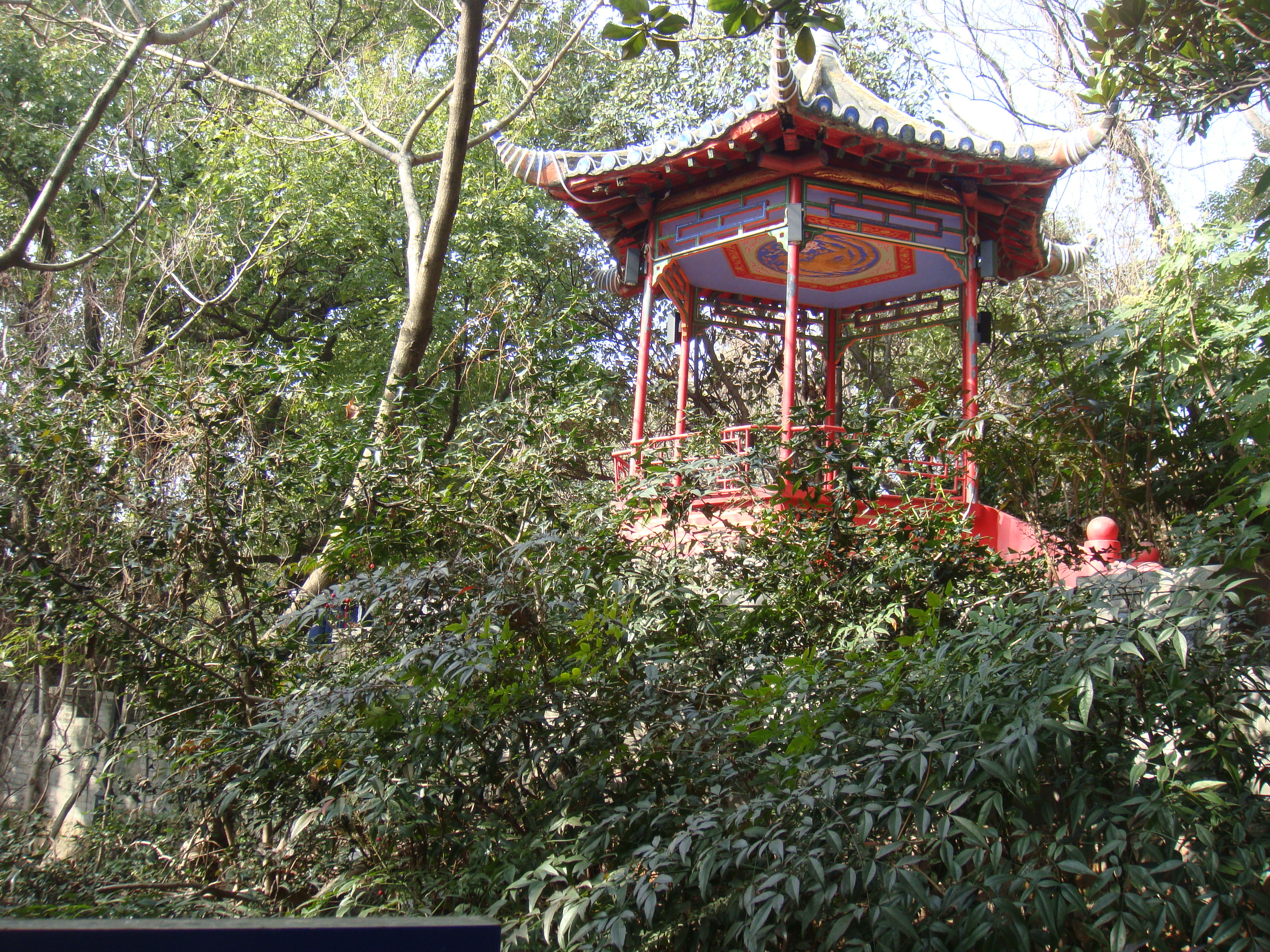 东山公园登顶看美景,东山公园景区游记