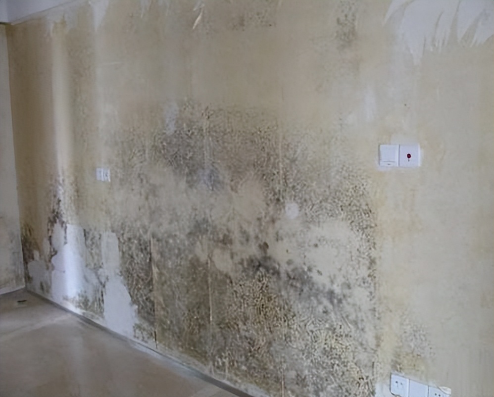 墙壁潮湿发霉用什么消毒,墙壁潮湿发霉怎样彻底处理