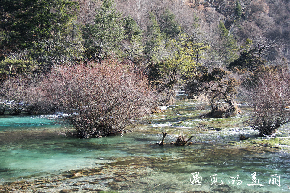 如果一生只去一个古城,一生去一次九寨沟
