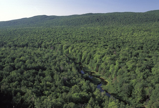 林业信息技术应用就业前景,林业研究生就业前景