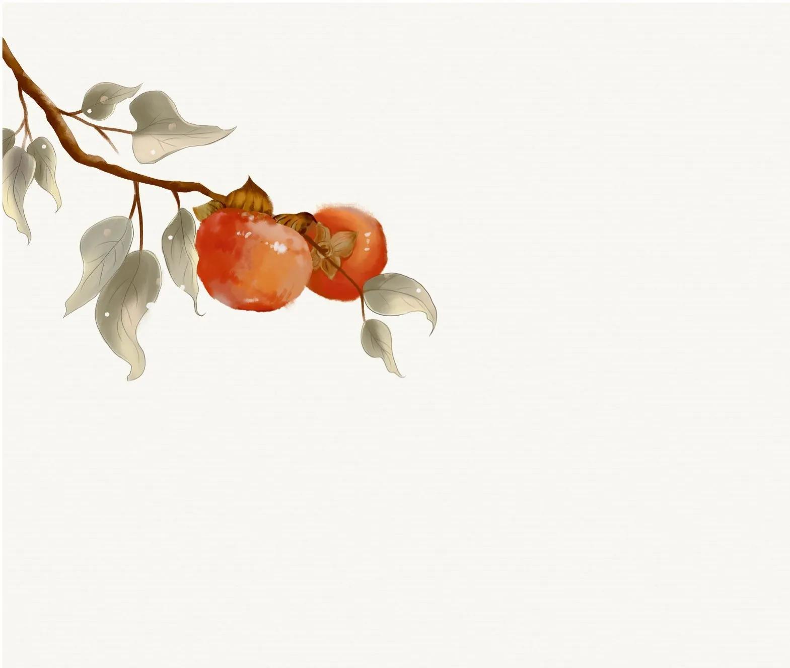 初级会计实务第二章固定资产3,初级会计实务第三章流动资产