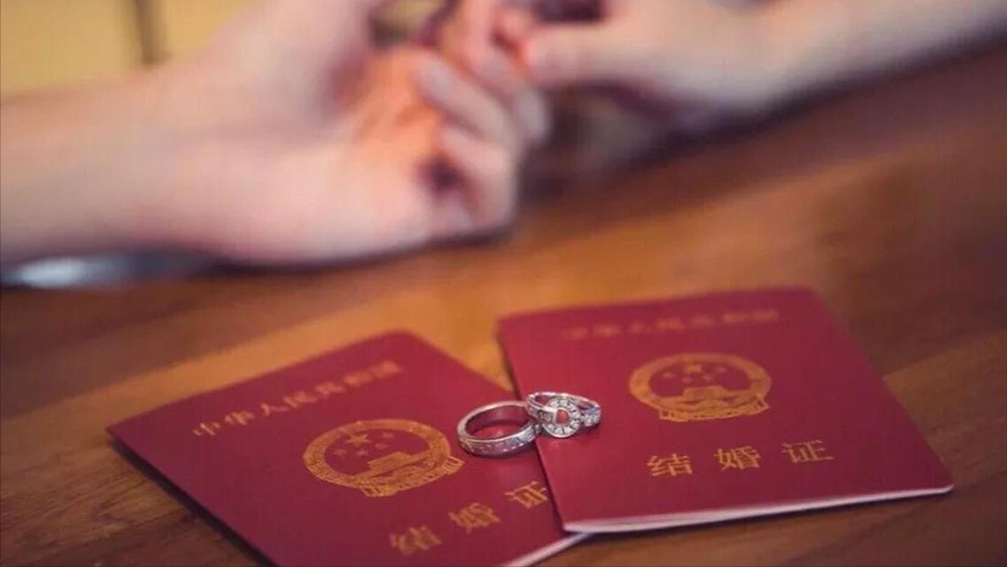 王云娜案件判刑名单,河北王云娜宣判