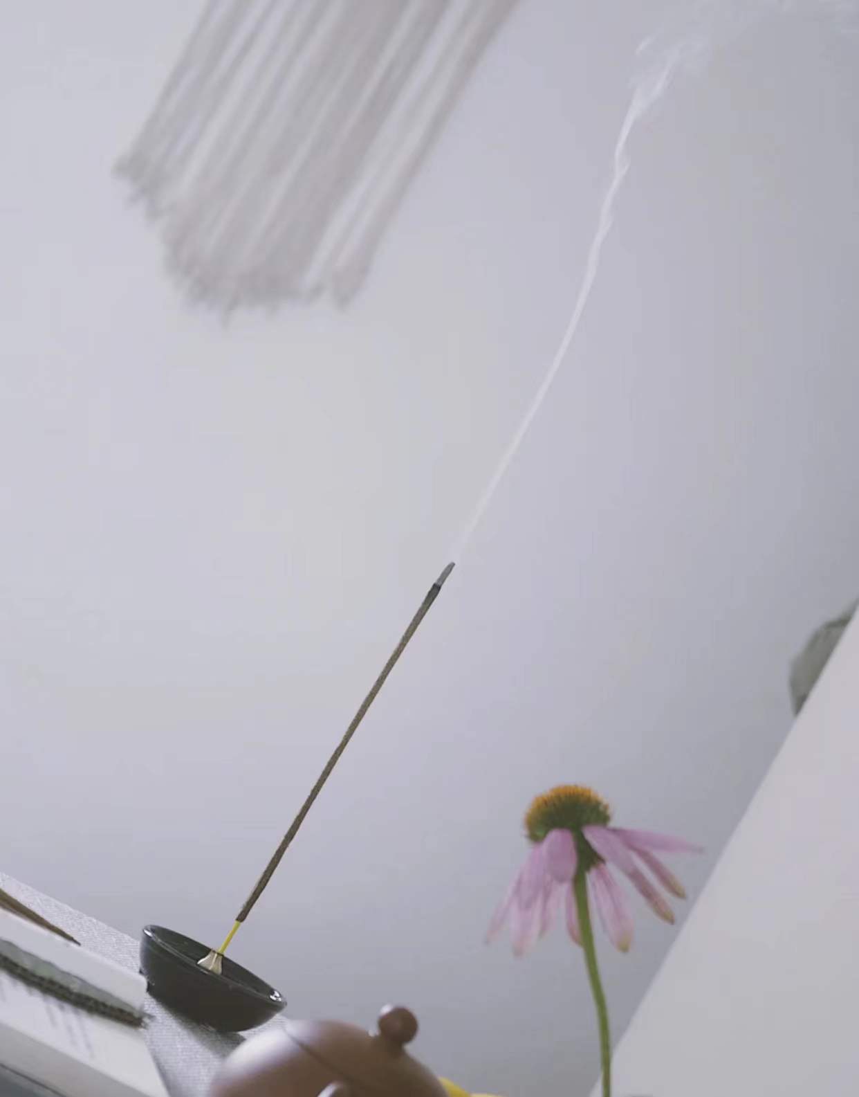 这5件家居好物让你的生活更精致,家居必备的100件神奇好物