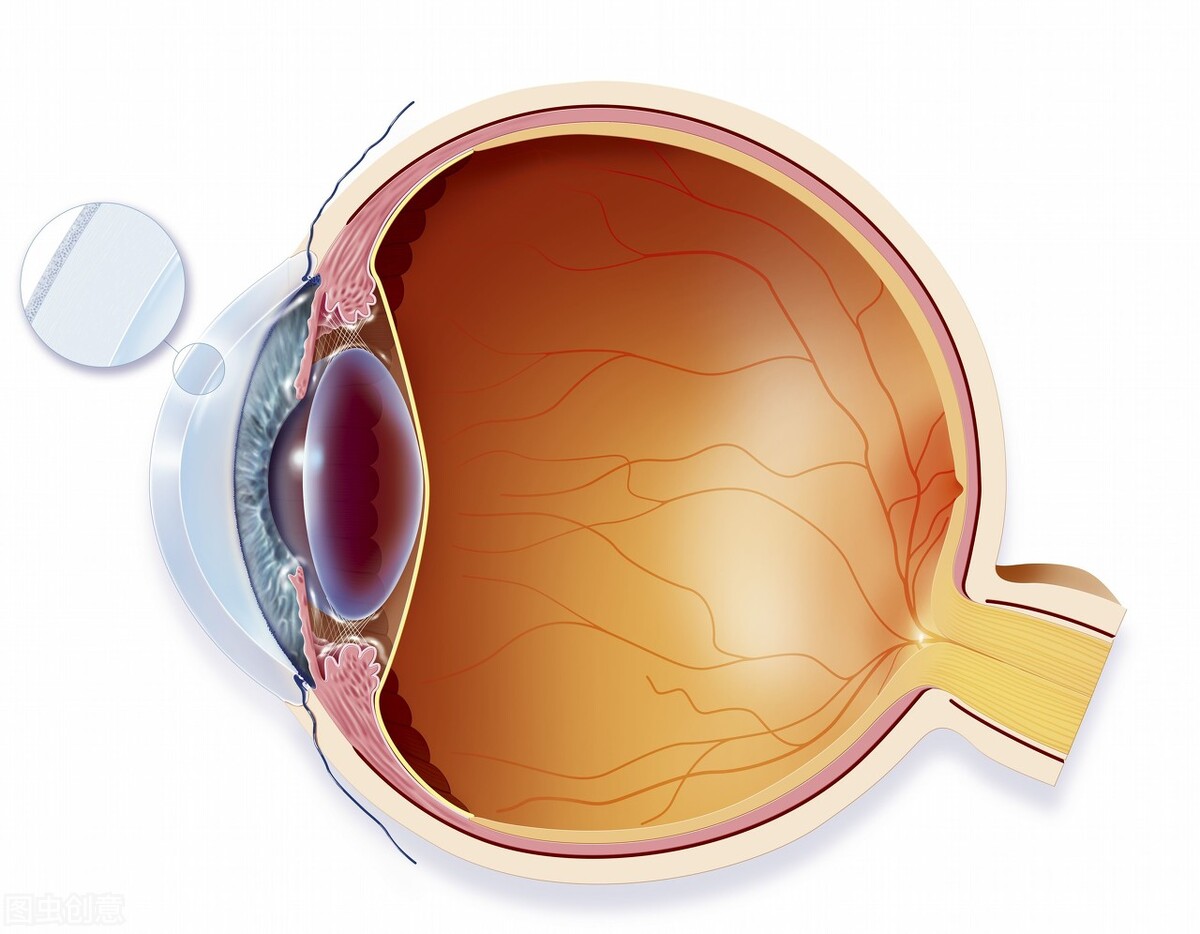 吃叶黄素可以治疗近视吗,叶黄素对眼睛近视真的有效吗