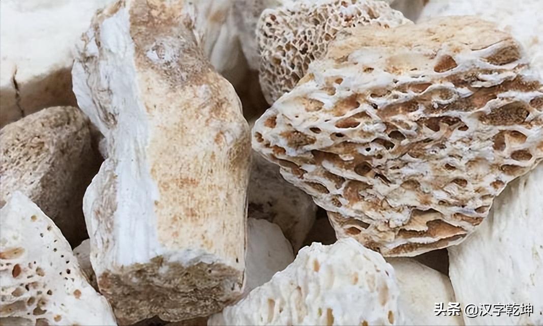 甲骨文为什么被称为龙骨,龙骨和甲骨文有什么关系