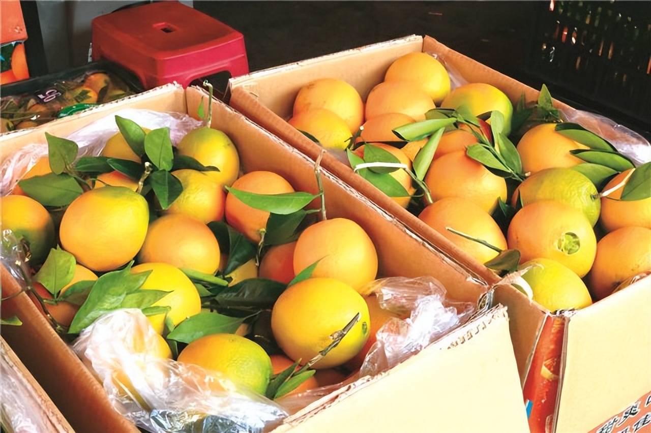 昆明水果批发市场橙子,橙子市场批发价格