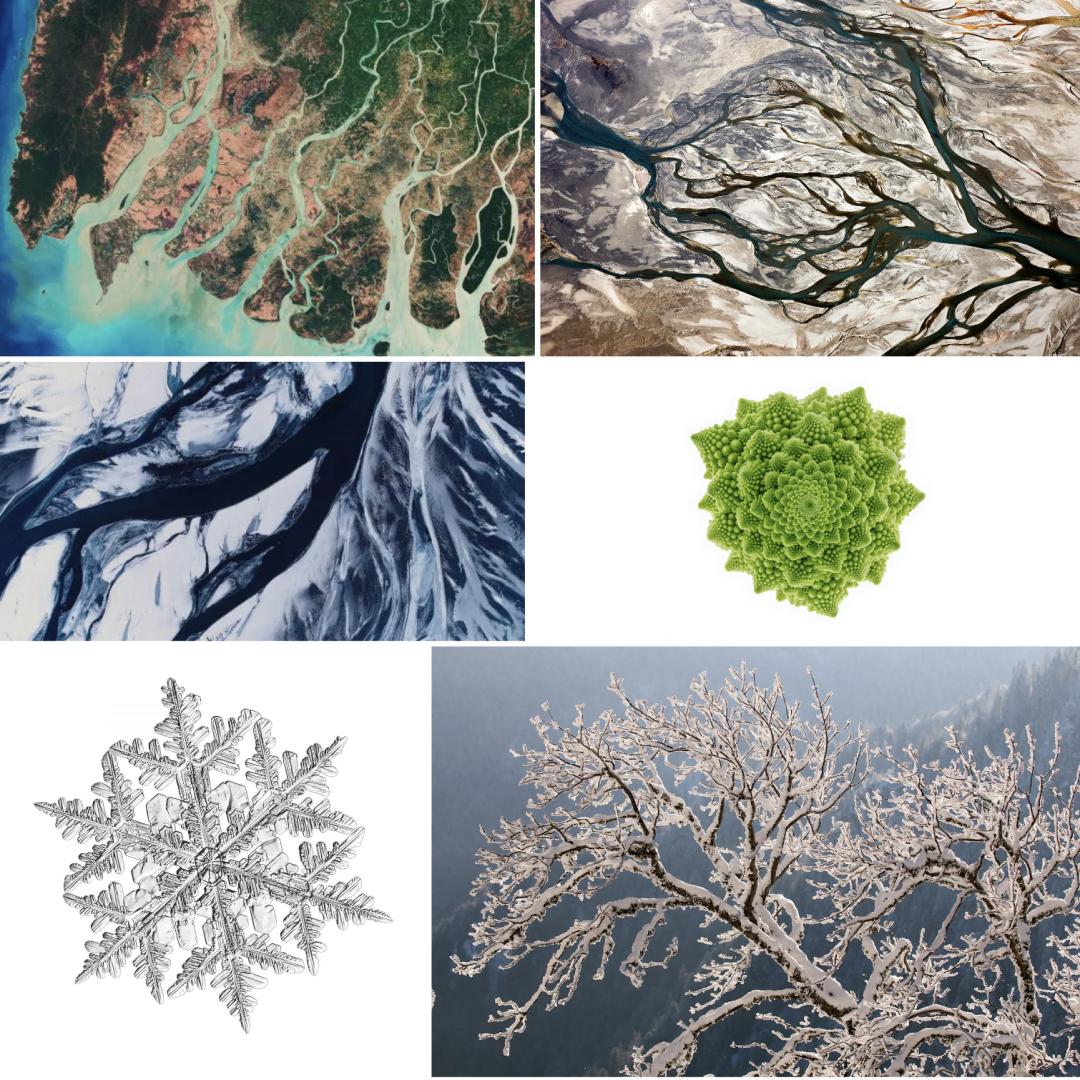 从量子到星空：混沌世界的隐藏秩序