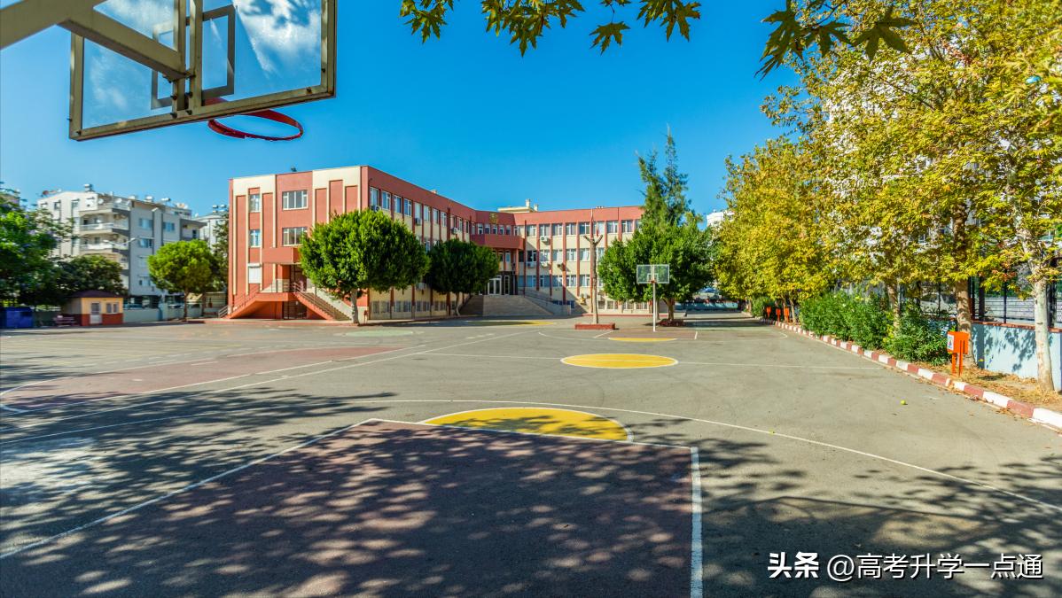 汽车服务工程专业参加考试,汽车服务工程专业学习方法