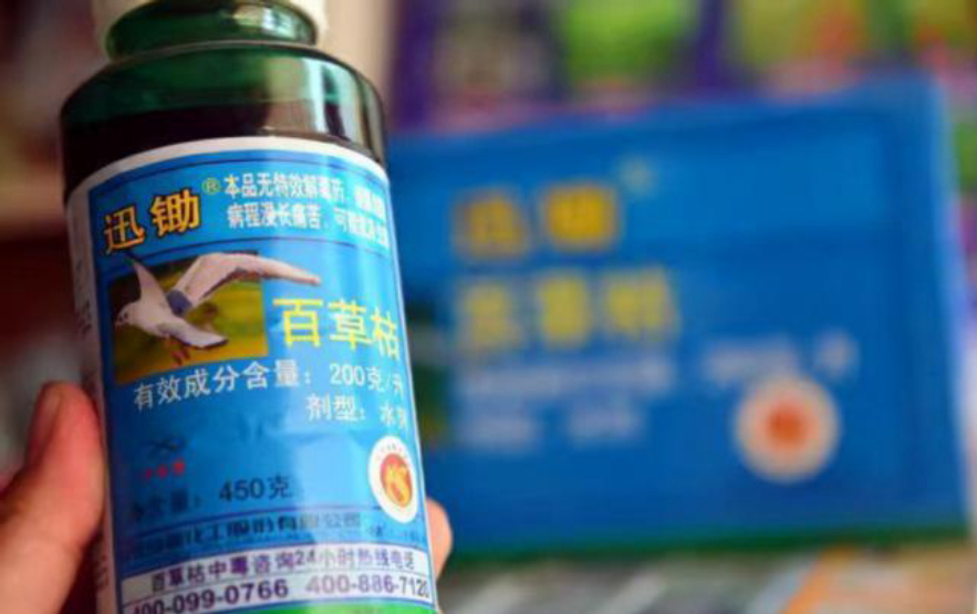 如果水蛭吸到了人物会怎么样,如果水蛭进了身体吃什么药