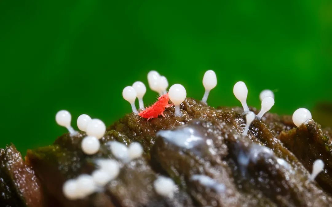 摄影师顾光辉：把爱好变成技能，摄影需要一种执着