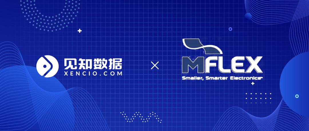 见知数据助力苏州维信搭建九大资金台账模块