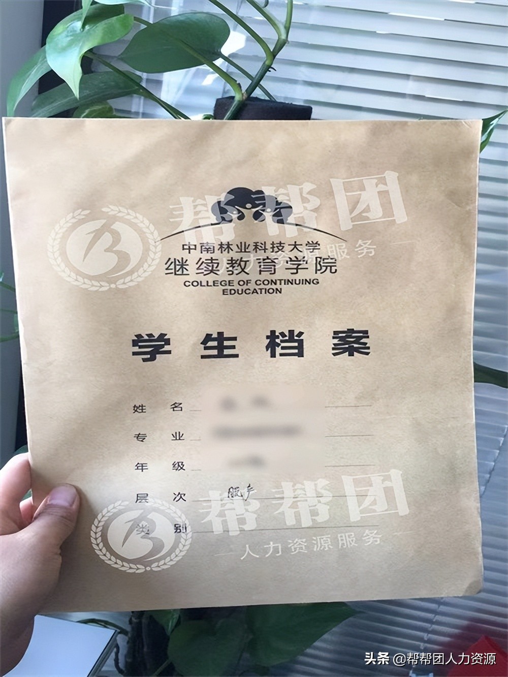 档案成为死档,档案成死档怎么激活