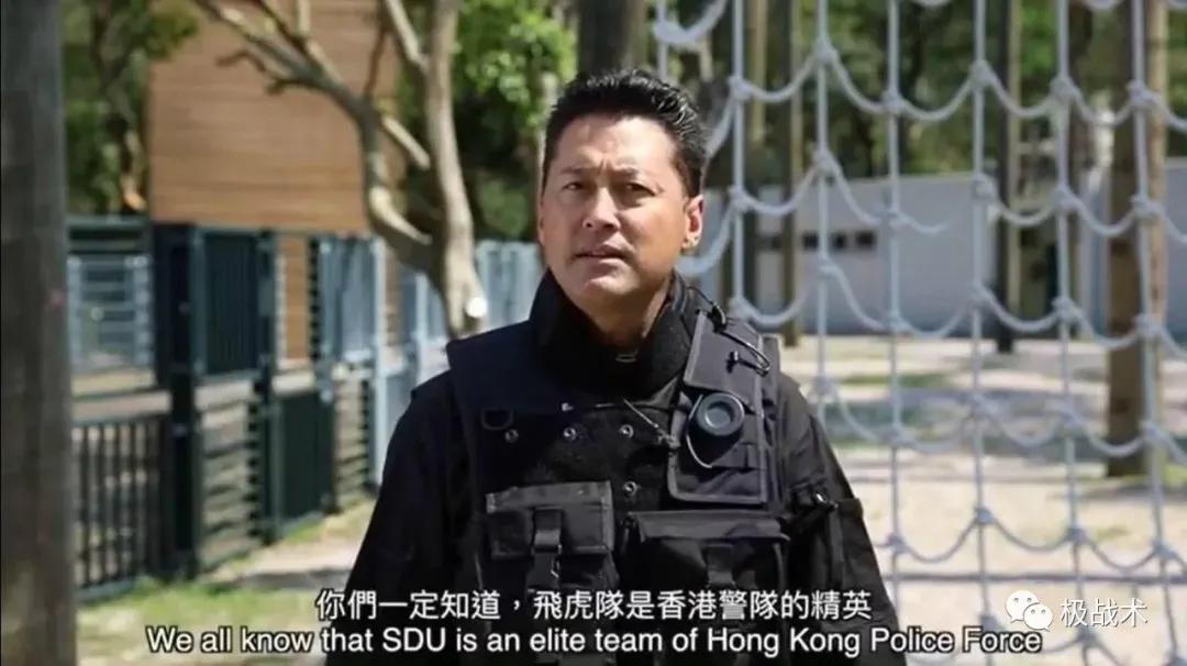 虎年说虎科普视频,虎年说虎运用了哪些说明方法