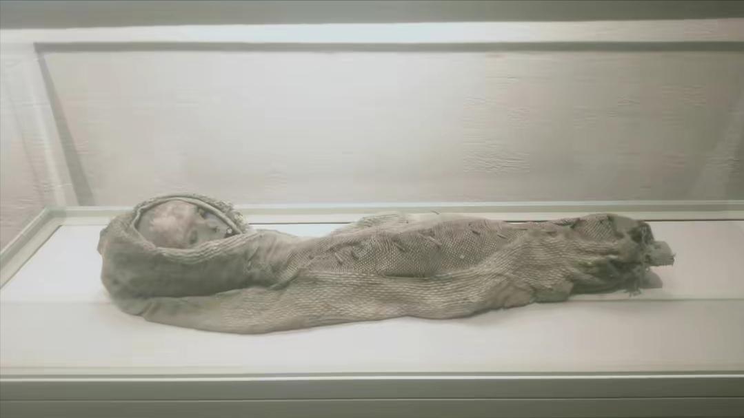 让尸体开口说话查案,让尸体说话纪录片